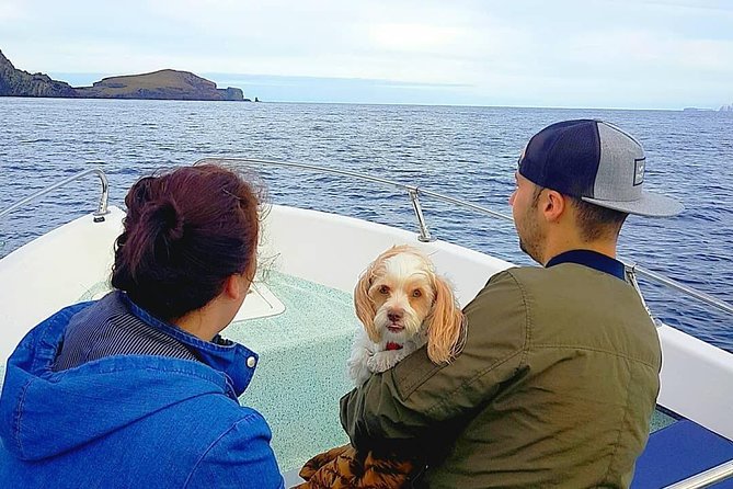 Ponta de São Lourenço Boat Tour - How long it lasts, and why 45–60 minutes is the sweet spot