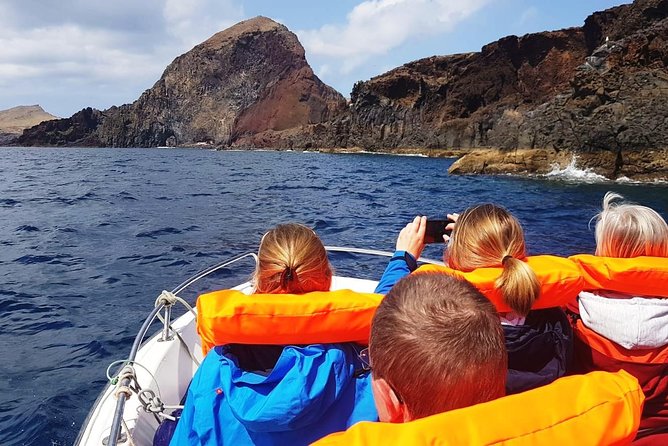 Ponta de São Lourenço Boat Tour - Marine animals and ecosystem talk: why the guide matters