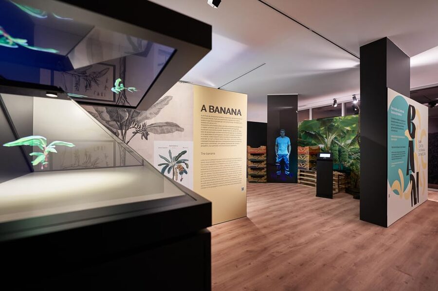 Ponta Do Sol : Madeira Banana Museum guided tour - First stop: walking into the museum’s Madeira banana universe