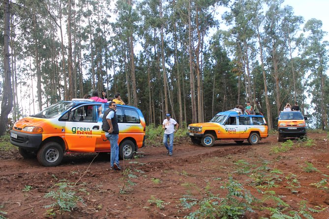 Porto Moniz 4x4 West tour - Paul da Serra high point: Pico Ruivo do Paul for a wide plateau view