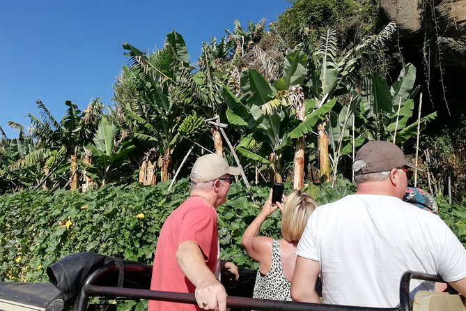 Porto Moniz - Private Full-Day - Safari 4x4 Tour - NorthWest - Fanal Forest and the Ribeira da Janela viewpoints