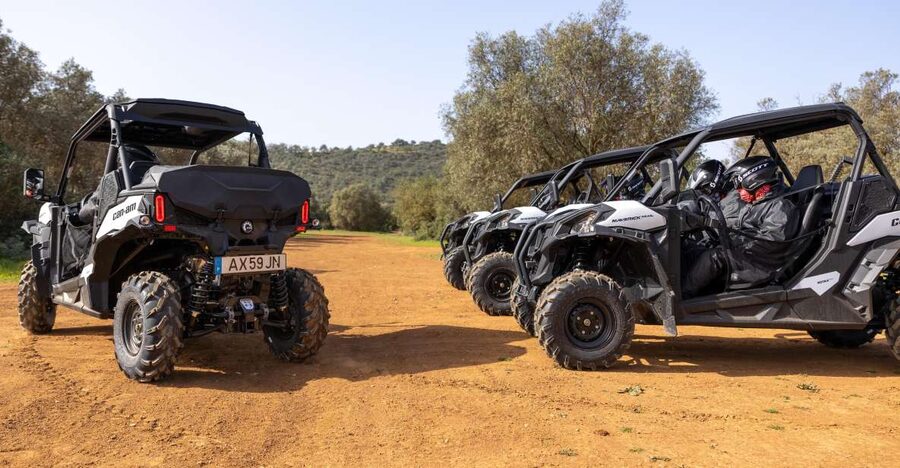 Porto Santo: 180 Minutes Off-Road Buggy Tour - Key highlights before you go