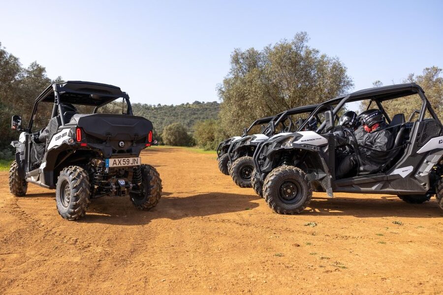Porto Santo: 180 Minutes Off-Road Buggy Tour - Price and Value: Why $188 Can Be Fair (If You Match the Format)