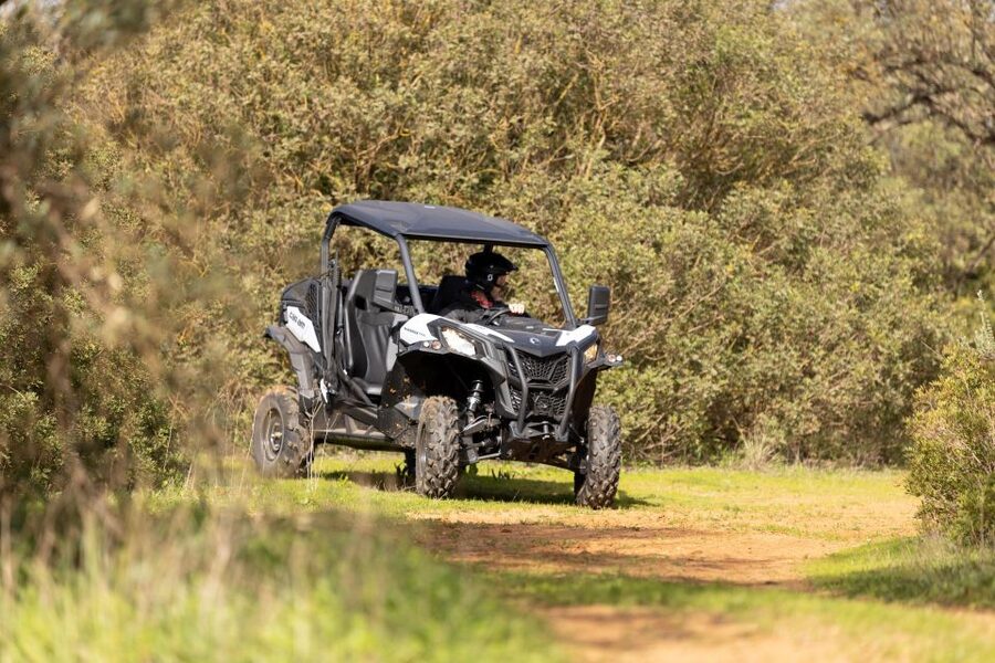 Porto Santo: 180 Minutes Off-Road Buggy Tour - The 180-Minute Route: Viewpoints, Peaks, Dunes, and One Smooth Circuit