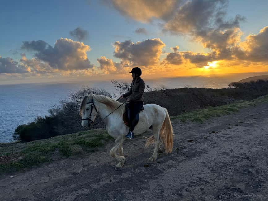 Porto Santo Island: Horse Riding - Porto Santo Horse Riding: Why This Island Works on Four Legs