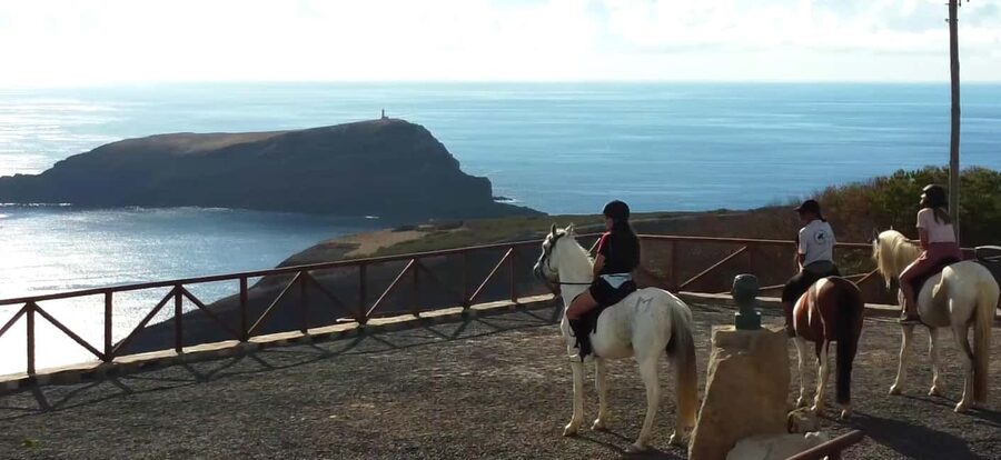 Porto Santo Island: Horse Riding - Should You Book This Horse Ride?