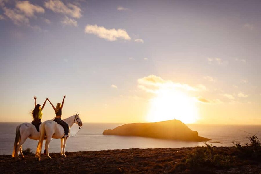 Porto Santo Island: Horse Riding - The Horses and Guides: Built for Beginners (and Patient for Nerves)