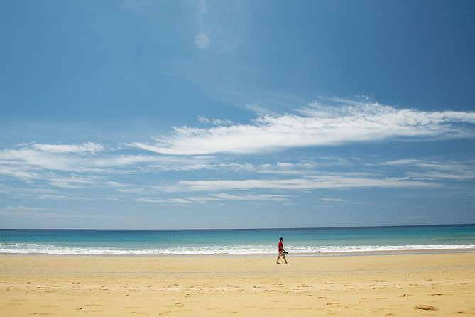 Porto Santo One-Day Cruise and Tour - Price and Logistics: What You’re Really Paying For