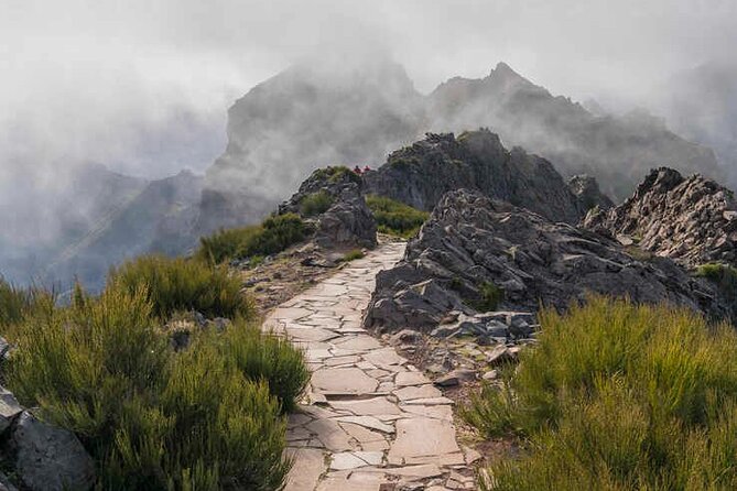 PR1 Pico do Arieiro Self-Guided Hiking Transfer (Morning slot) - The Finish: Donkeys at the Park and Hot Chocolate at Restaurante Barracão