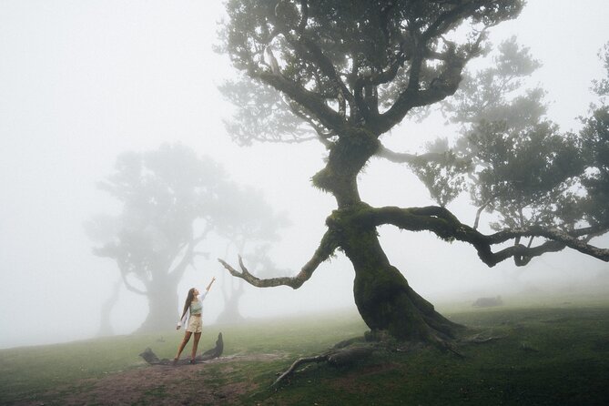 PR13 Vereda do Fanal Mystical Self-Guided Hiking with Transfer - Key Highlights Worth Planning For