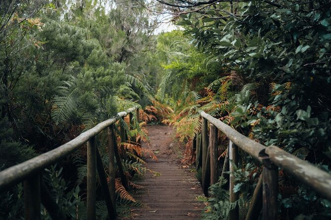 PR13 Vereda do Fanal Mystical Self-Guided Hiking with Transfer - Should You Book PR13 Vereda do Fanal with Transfer?