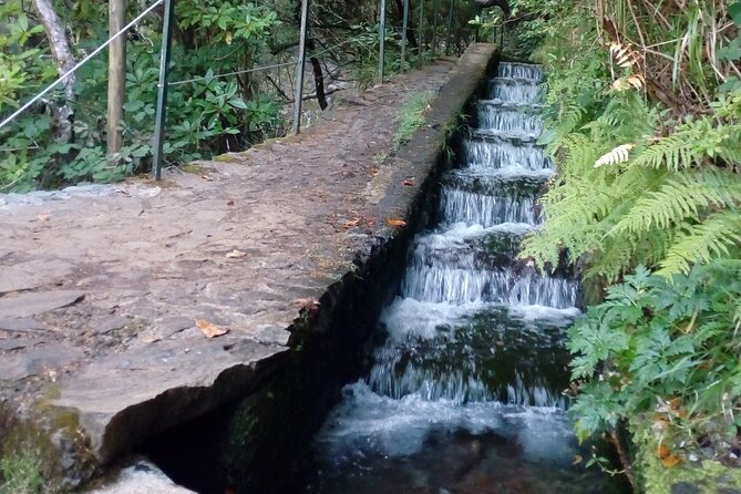 PR6 25 Fountains/Risco Levada Walk - Getting to the walk: Pickup, the driver, and why it matters