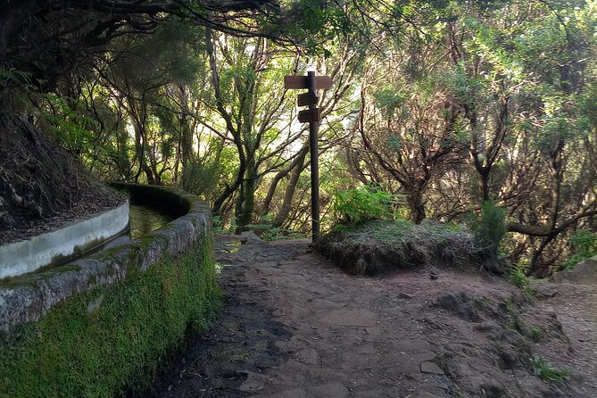 PR6 25 Fountains/Risco Levada Walk - Tickets and what you actually pay for