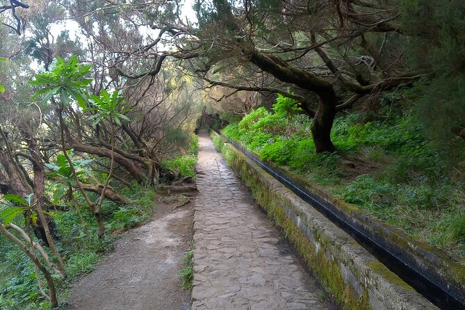 PR6 25 Fountains/Risco Levada Walk - What you get versus what you provide