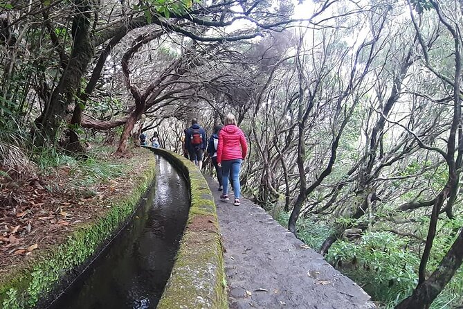 PR6 & PR6.1 25 Fontes & Risco Levada Self-Guided Hiking Rabaçal - Stop 3 and Stop 4: Calheta and Ponta do Sol on the way back