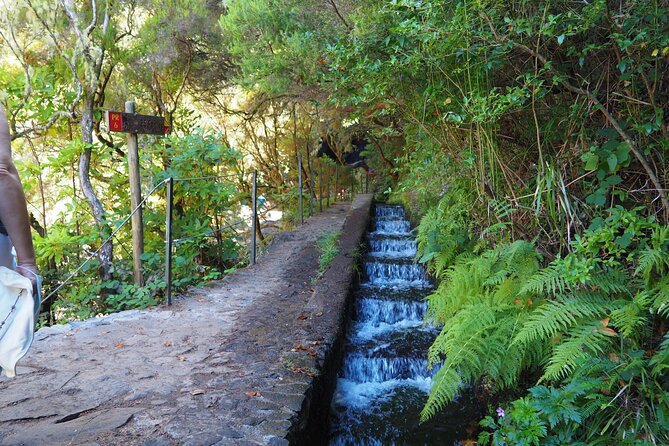 PR6 & PR6.1 25 Fontes & Risco Levada Self-Guided Hiking Rabaçal - The real-life trail conditions: steps, rain, and slippery spots