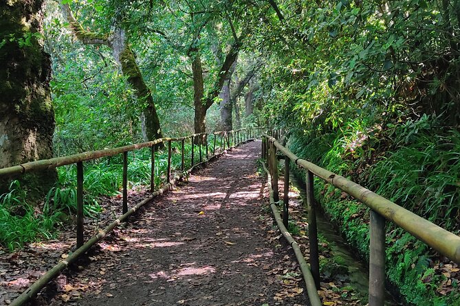 PR9 Caldeirão Verde Queimadas Levada Self-Guided Hiking Transfer - Key highlights if you like this kind of hike