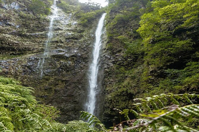 PR9 Caldeirão Verde Queimadas Levada Self-Guided Hiking Transfer - Costs and value: what $39.76 includes (and what costs extra)