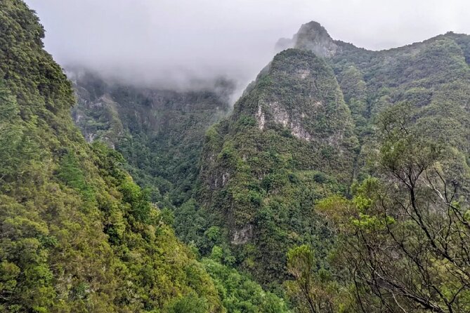 PR9 Caldeirão Verde Queimadas Levada Self-Guided Hiking Transfer - When the route changes: trail closures and your best backup plan