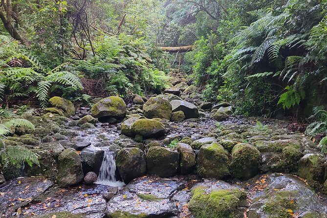 PR9 Caldeirão Verde Queimadas Levada Self-Guided Hiking Transfer - Getting from Funchal to Queimadas: transfers that keep you sane