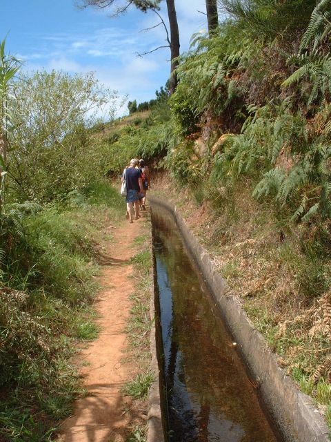 Prazeres: Full-Day Nature Walk - Key highlights you’ll feel on the walk