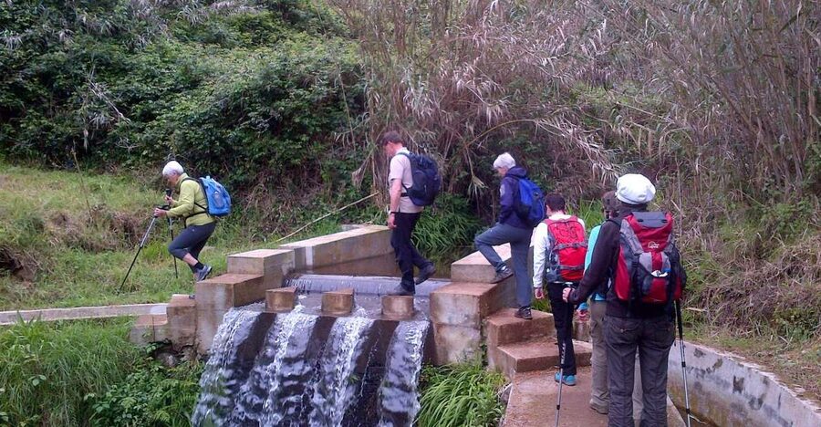 Prazeres: Full-Day Nature Walk - Walking with the ocean: mountains, valleys, and the constant horizon