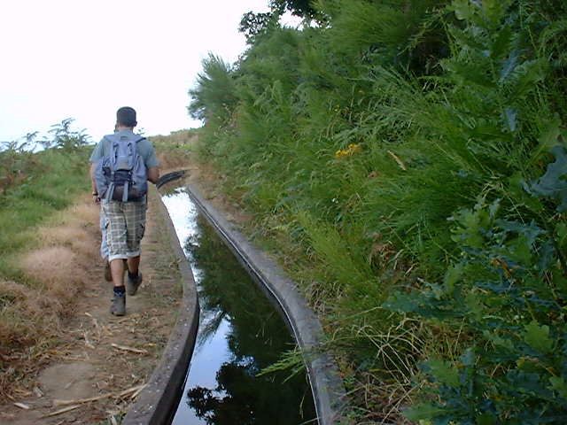 Prazeres: Full-Day Nature Walk - Who this walk suits best (and who should skip it)