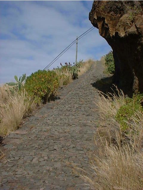 Prazeres: Full-Day Nature Walk - The start: hotel pickup that keeps the day simple