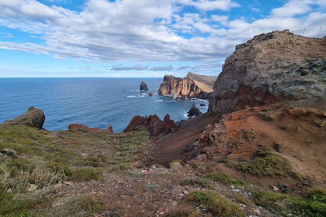 Private 4x4 Jeep Full Day Porto Moniz or Santana - Fanal’s centenary trees: the forest stop that feels special