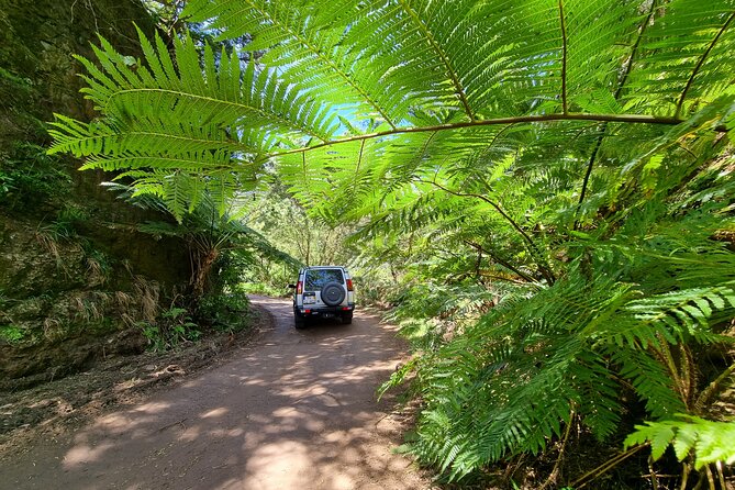 Private 4x4 Jeep Full Day Porto Moniz or Santana - São Vicente area and the Agua D’Altó waterfall view