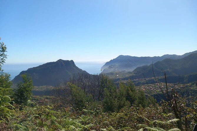 Private 4x4 Jeep Full Day to Santana or Porto Moniz - How a private 4x4 changes Madeira from a checklist to a day