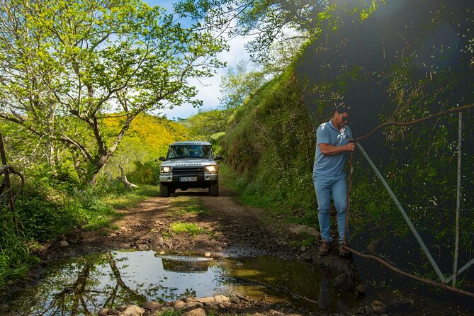 Private 4x4 Jeep Half Day - Picturesque Peaks, Vineyards, Skywalk - Why This Private 4x4 Route Works So Well in Madeira