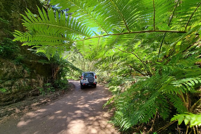 Private 4x4 Jeep Half Day - Picturesque Peaks, Vineyards, Skywalk - Passing Through Henriques & Henriques: Vineyards, Photos, and Wine Time