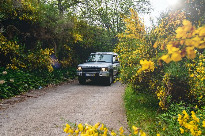 Private 4x4 Jeep Half Day - Picturesque Peaks, Vineyards, Skywalk - Camara De Lobos: Start in a Fishing Village, Not a Viewpoint