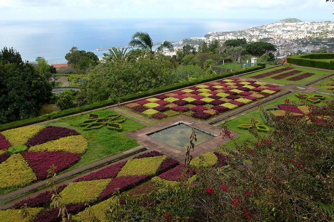 Private Botanical Garden Tour - Why This Tuk-Tuk Botanical Garden Tour Fits Funchal So Well