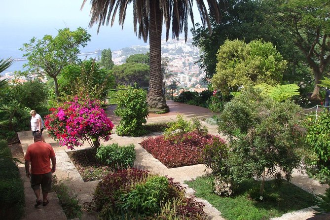 Private Botanical Garden Tour - Price and Value: What You’re Really Paying For (Up to 3 People)