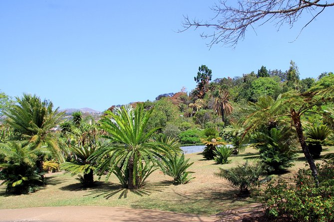 Private Botanical Garden Tour - Getting There: Pickup Options and How Timing Works