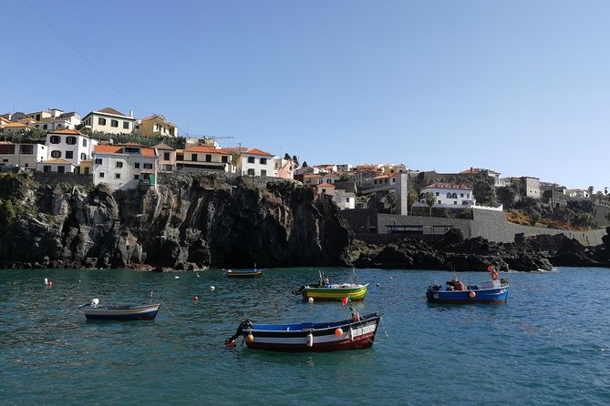 Private Câmara de Lobos Fishing Village Tour - Your 90-minute plan: what you really get