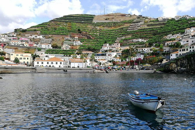 Private Câmara de Lobos Fishing Village Tour - Pickup in Funchal (and from cruise ships): how logistics stay easy