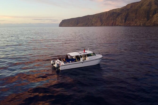 Private Cruise to Calheta and Caniçal Coasts - Onboard comfort details that actually matter