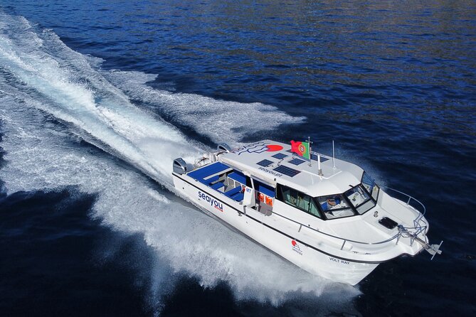 Private Cruise to Calheta and Caniçal Coasts - Music, timing, and why the cruise length is a smart choice