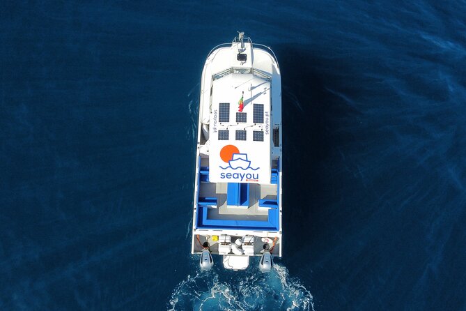 Private Cruise to Calheta and Caniçal Coasts - Should you book the Calheta and Caniçal private cruise?