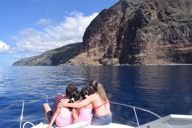 Private Dolphin and Whale Watching Tour in Madeira - Stop 2: Madeira Islands waters—where the search happens