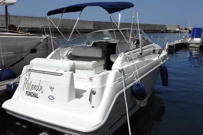 Private Dolphin and Whale Watching Tour in Madeira - Stop 1: Porto de Recreio da Calheta—set up, then settle in