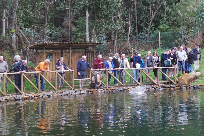 Private Full Day 4X4 Experience: East or West - Stop 2: Porto Moniz natural swimming pools and volcanic scenery