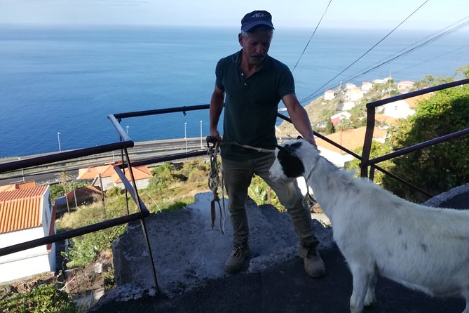 Private Full-Day - Comfort 4x4 Tour - NorthWest - Funchal Viewpoints and the Calm Start That Sets the Tone