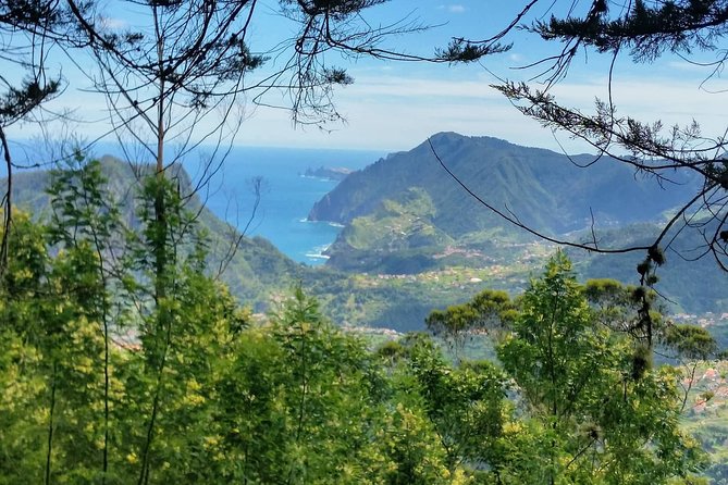 Private Full Day Off-Road Tour in Madeira - Stop-by-stop timing: how to pace a 7-hour private day
