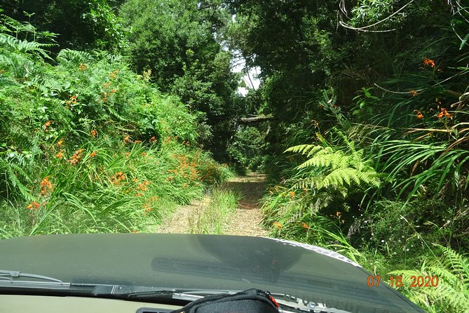 Private Full Day Off-Road Tour in Madeira - Price and value: $338.76 per group (up to 3) for a private 4x4 day