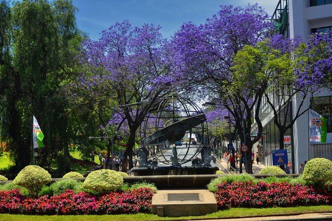 Private Funchal City Tour by Tukxi - Who this tour fits best in your Madeira plans