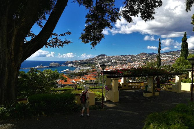 Private Funchal City Tour by Tukxi - Route essentials: Quinta das Cruzes and Sé Catedral